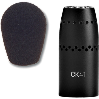 AKG CK41 Reference Microphone Capsule With Windscreen