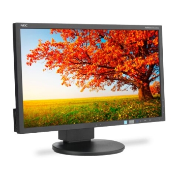 NEC EA224WMI-BK-CN 21.5" LCD Gaming Desktop Monitor