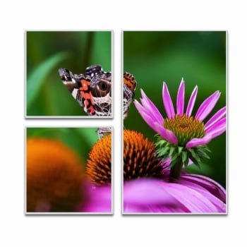 Videri V4 480.33mm x 853.92mm Smart Digital Indoor Canvas