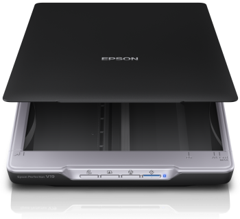 Epson B11B231401 Perfection V19 Photo and document scanner