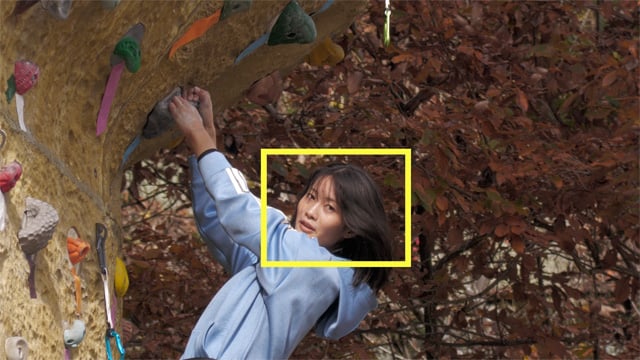 Face Tracking