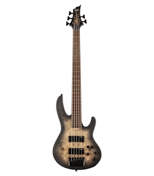 ESP LTD D Series 5-String Bass, Burled Poplar Top, Black Natural Burst Satin Finish Guitar 