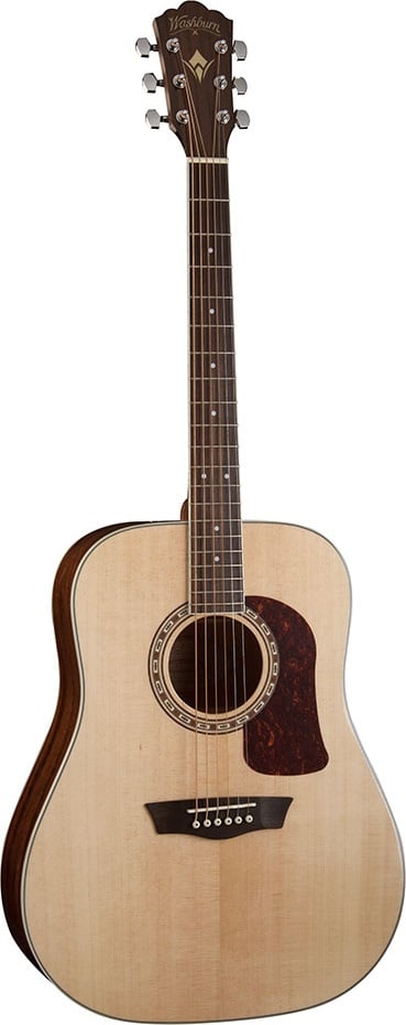 washburn wd10s